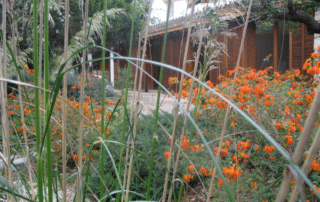 la-serraina-garden-5